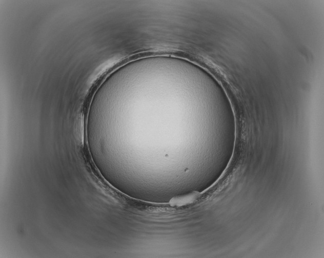 X0000115261171200911131740