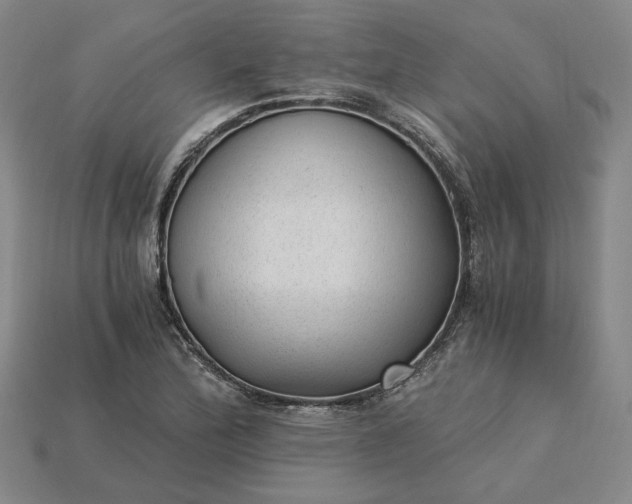 X0000115261172200911131740