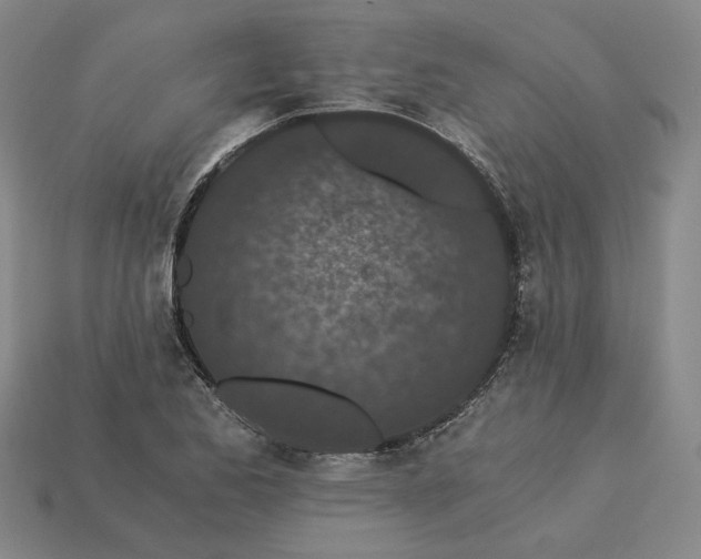 X0000115261173200911131740