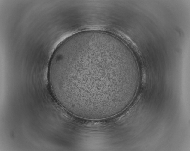 X0000115261174200911131740