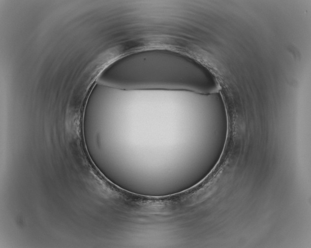 X0000115261177200911131740