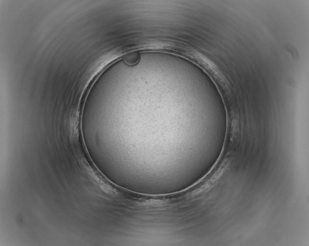 X0000115261178200911131740