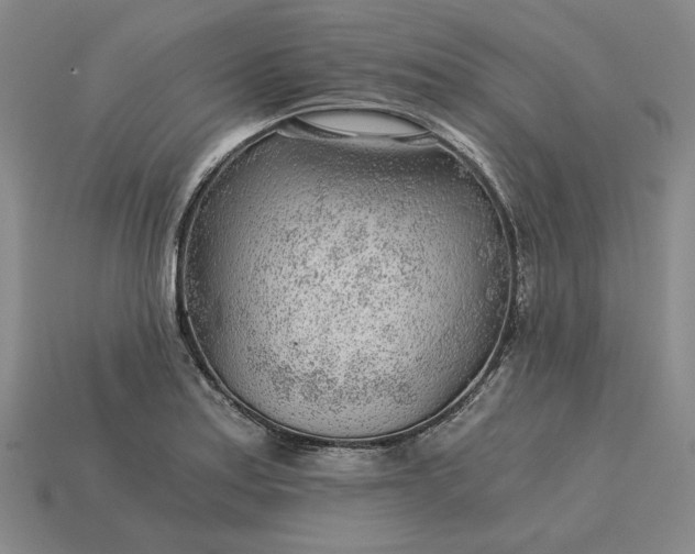 X0000115261179200911131740