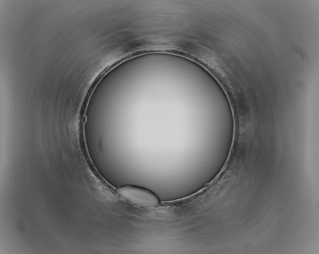 X0000115261181200911131740