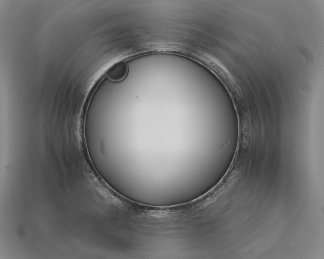 X0000115261182200911131740