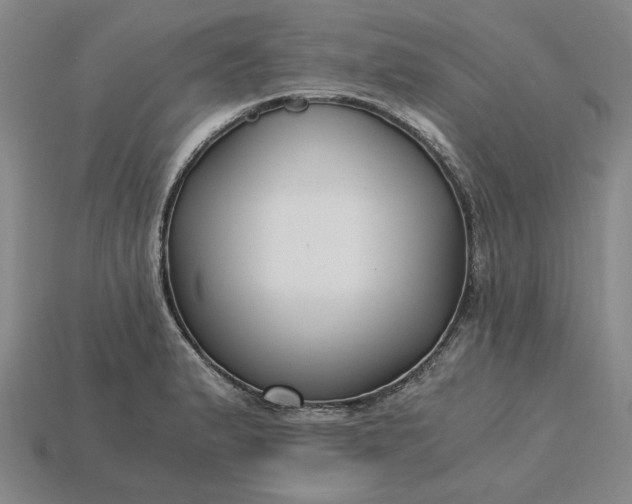 X0000115261183200911131740