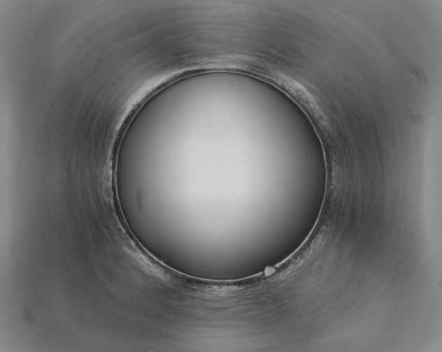 X0000115261184200911131740