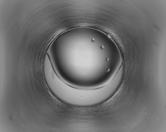 X0000115261185200911131740