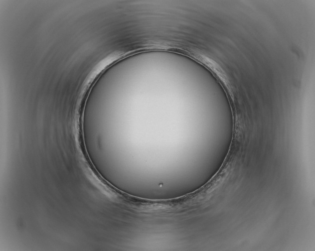 X0000115261187200911131740