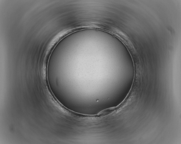 X0000115261188200911131740