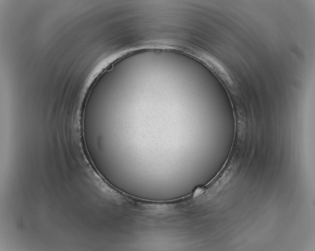 X0000115261192200911131740