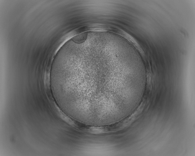 X0000115261194200911131740