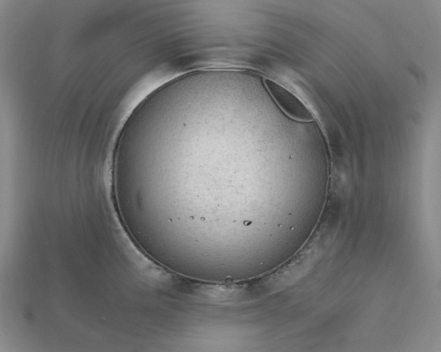 X0000115261195200911131740