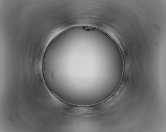 X0000115261197200911131740
