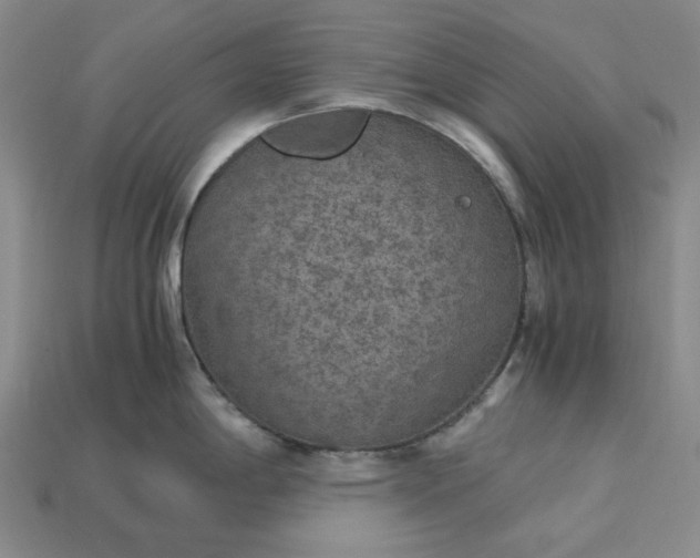 X0000115261198200911131740