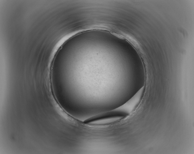 X0000115261200200911131739