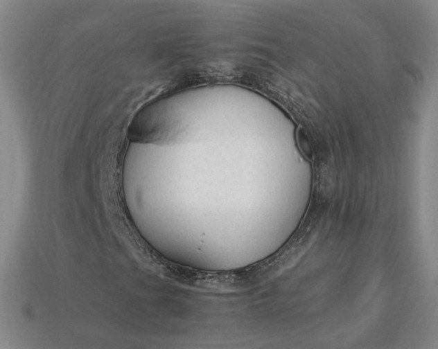 X0000115261201200911131739