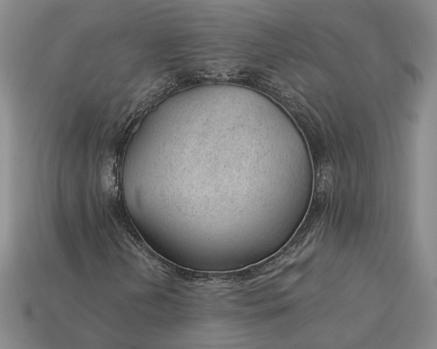 X0000115261202200911131739