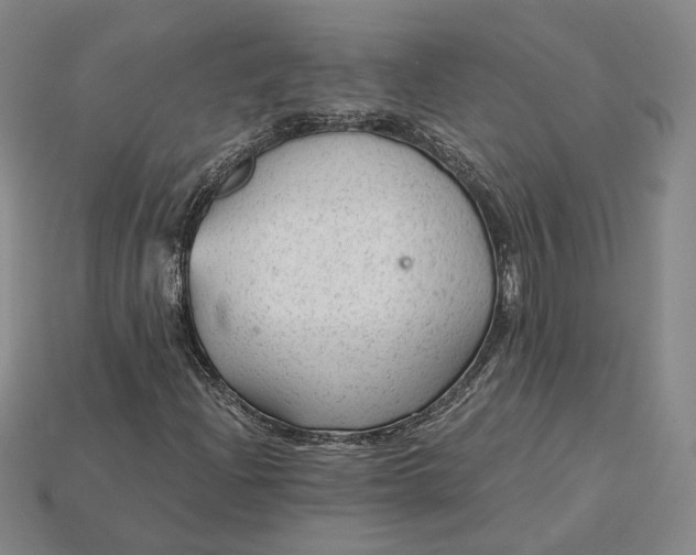 X0000115261204200911131739
