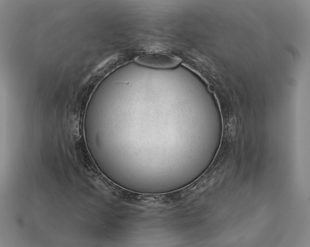 X0000115261205200911131739