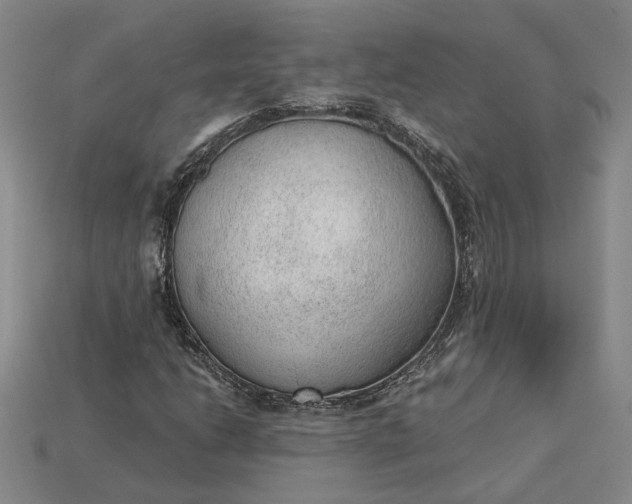 X0000115261206200911131739