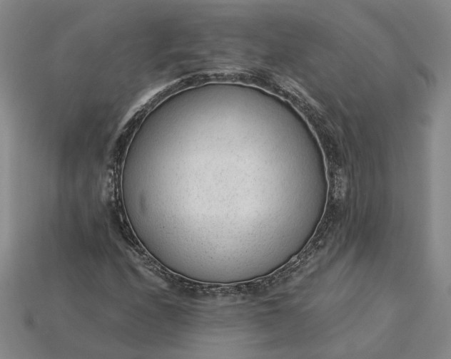X0000115261208200911131739