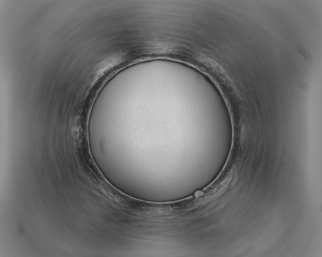 X0000115261210200911131739