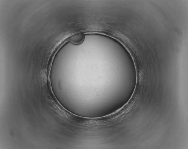 X0000115261212200911131739