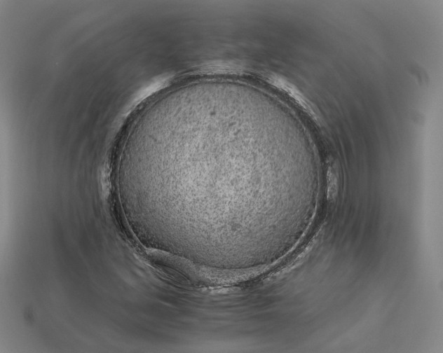 X0000115261213200911131739