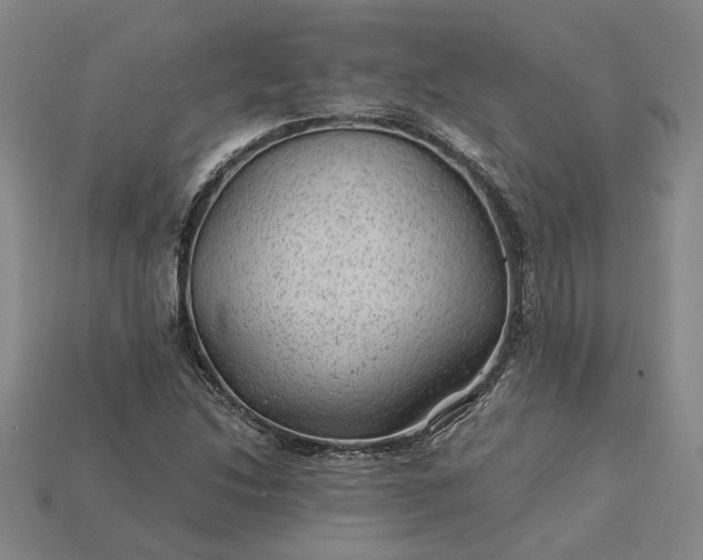 X0000115261214200911131739
