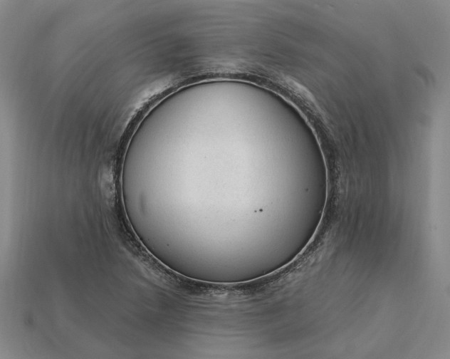 X0000115261218200911131739