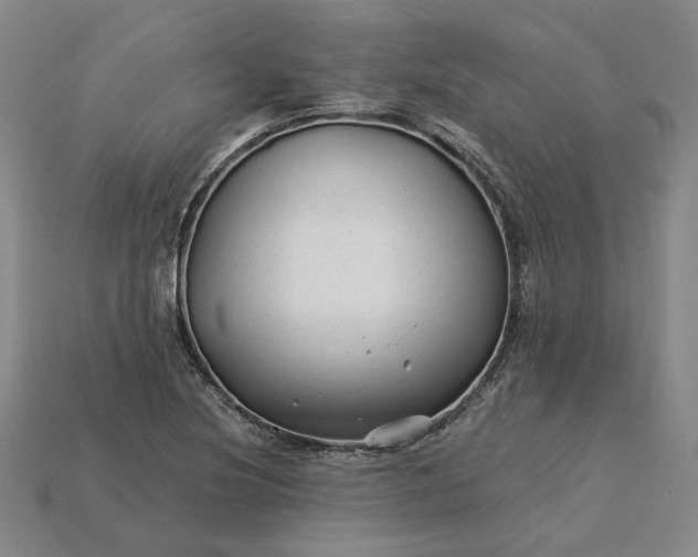 X0000115261220200911131739
