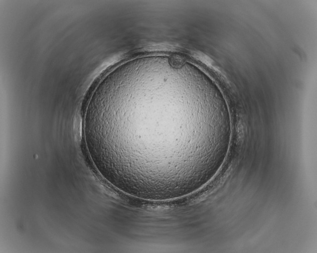 X0000115261221200911131739