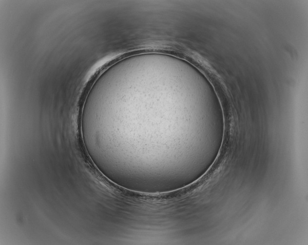 X0000115261222200911131739