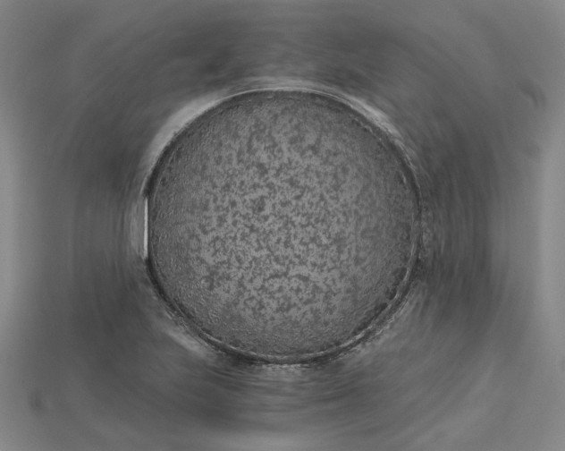 X0000115261223200911131739