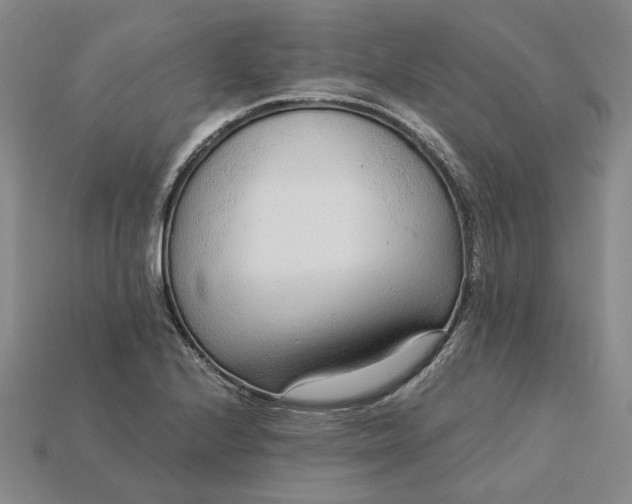 X0000115261224200911131739