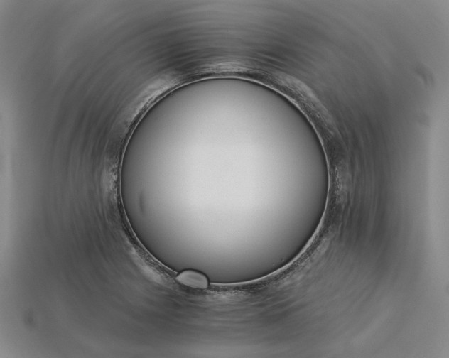 X0000115261225200911131739