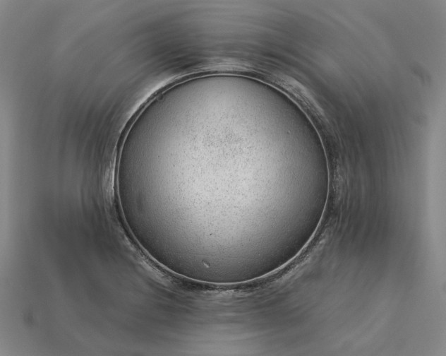 X0000115261228200911131739