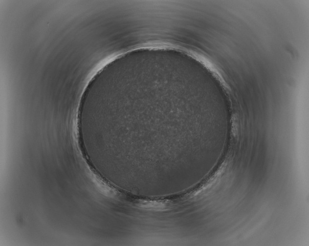 X0000115261229200911131739
