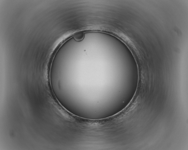 X0000115261230200911131739