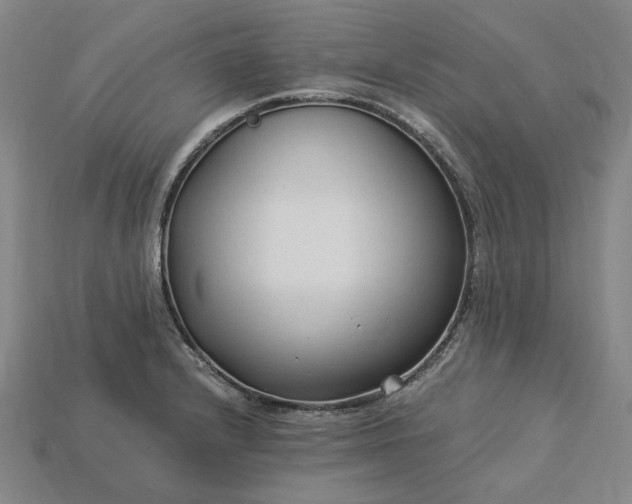 X0000115261232200911131739