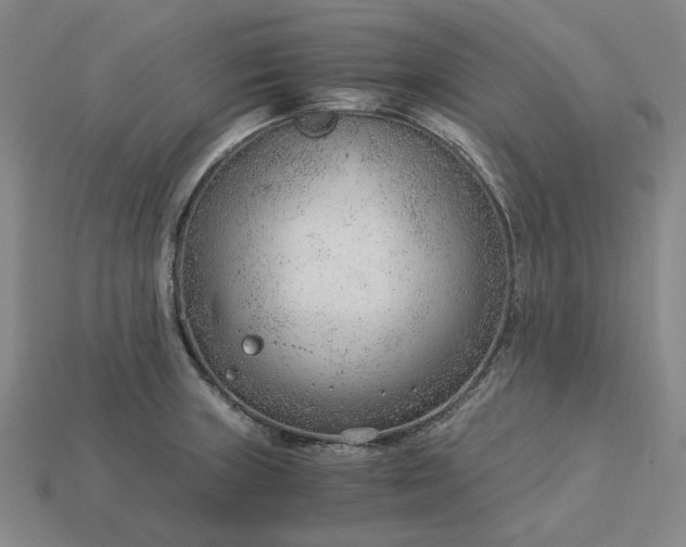 X0000115261235200911131739