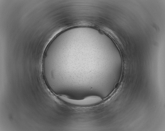 X0000115261236200911131739