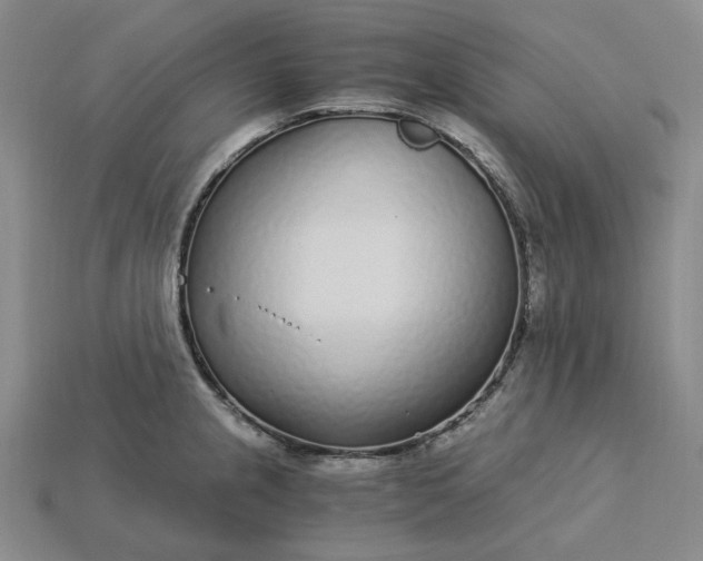 X0000115261237200911131739