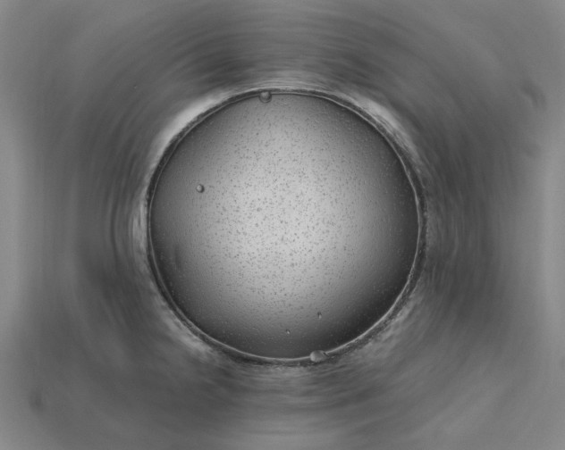 X0000115261238200911131739