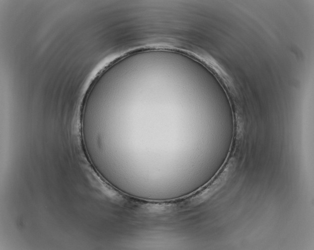 X0000115261240200911131739