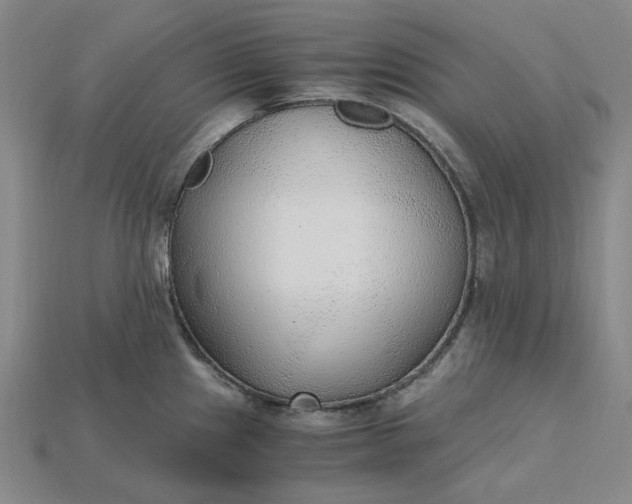 X0000115261241200911131739