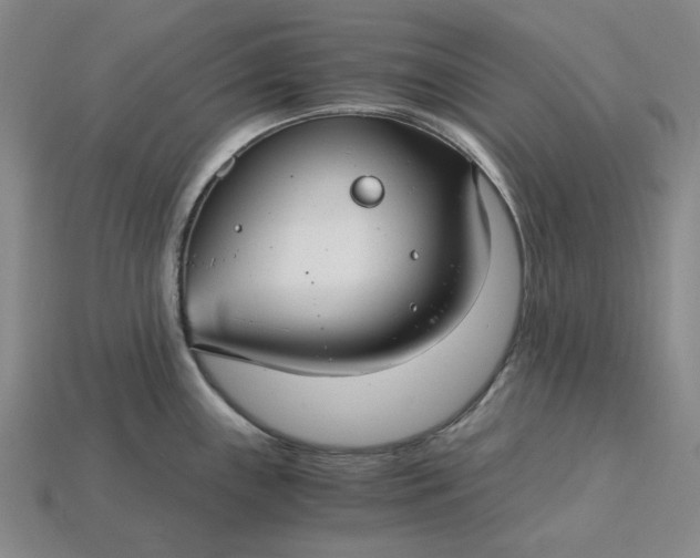 X0000115261243200911131739