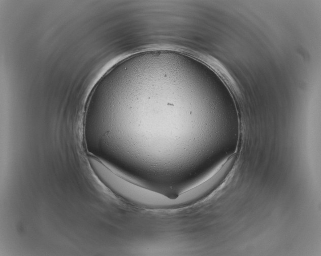X0000115261244200911131739