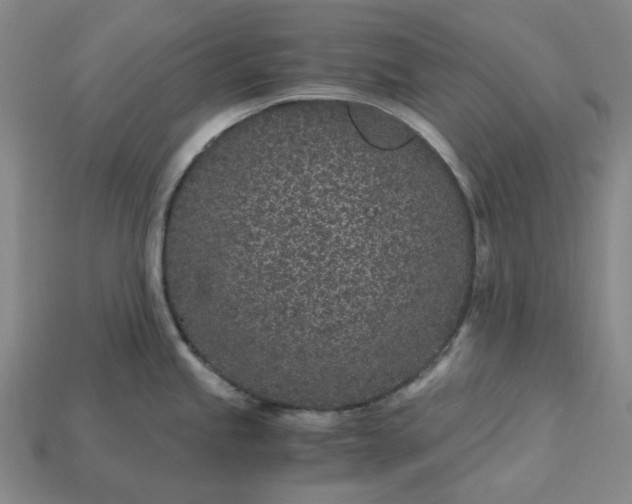 X0000115261245200911131739